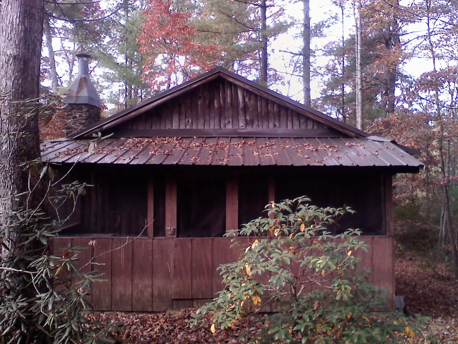 Metal roof over the screened porch of a rustic cabin in Wilkesville